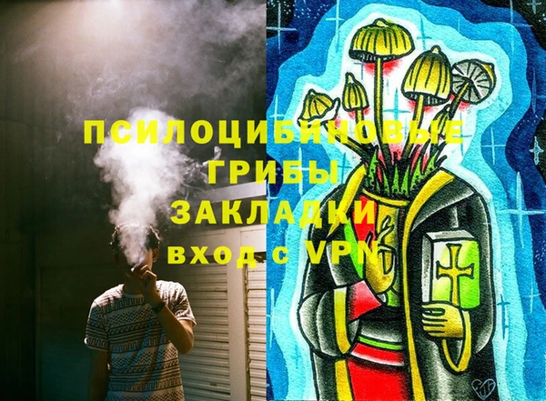 дурь Алзамай