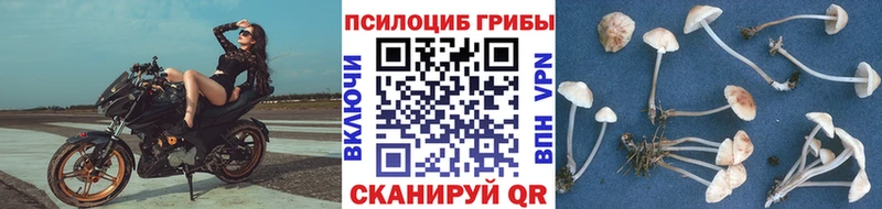 Галлюциногенные грибы мухоморы  Ишим 