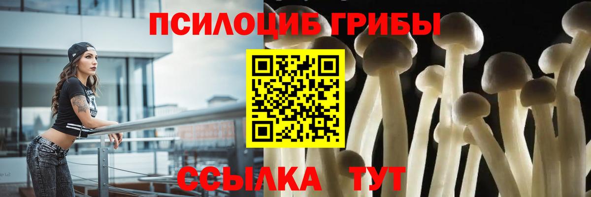 Ишим  Псилоцибиновые грибы прущие грибы  Вход с VPN  Галлюциногенные грибы прущие грибы 